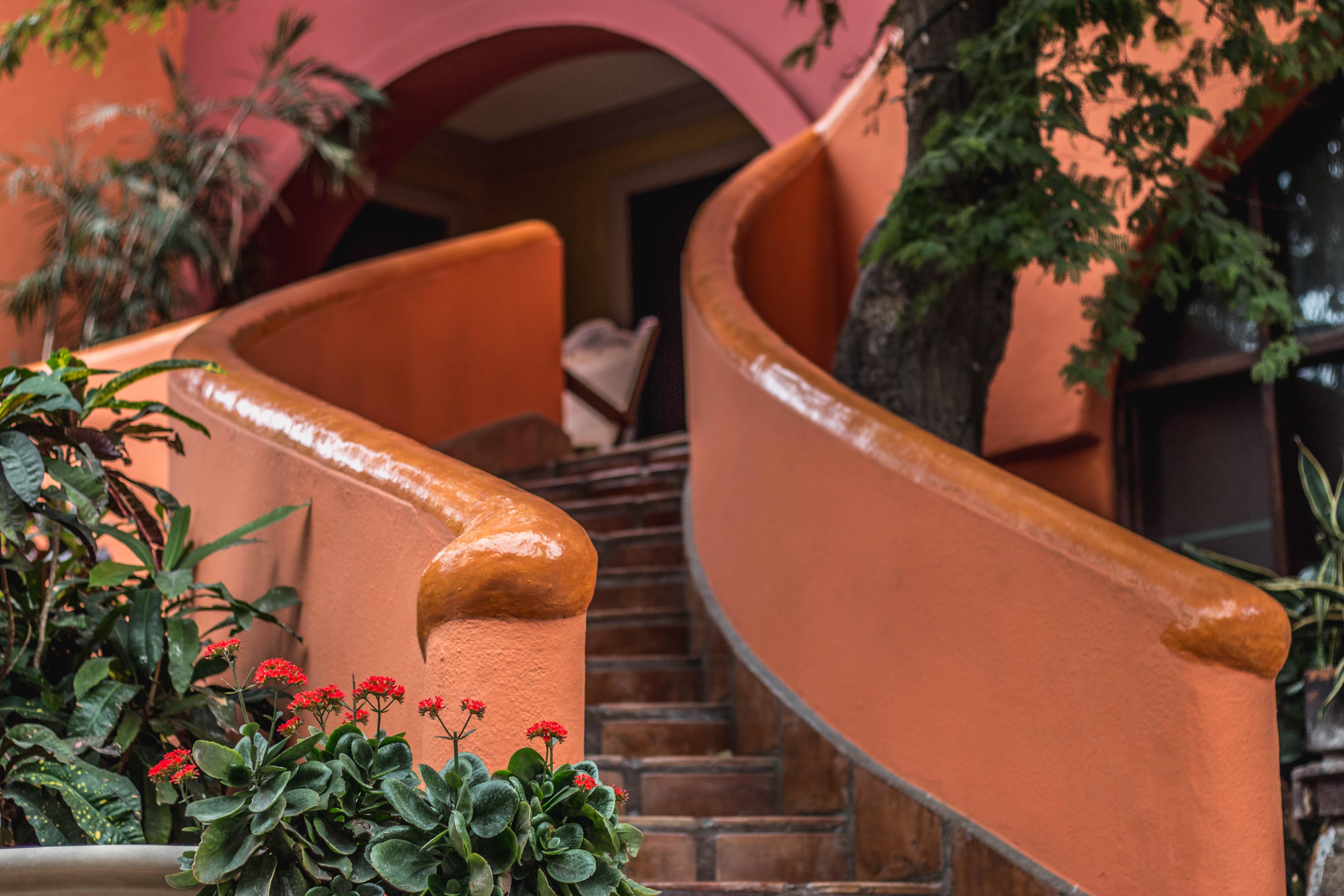 Collection O Casa Bella Hotel Boutique, Кабо-Сан-Лукас Экстерьер фото