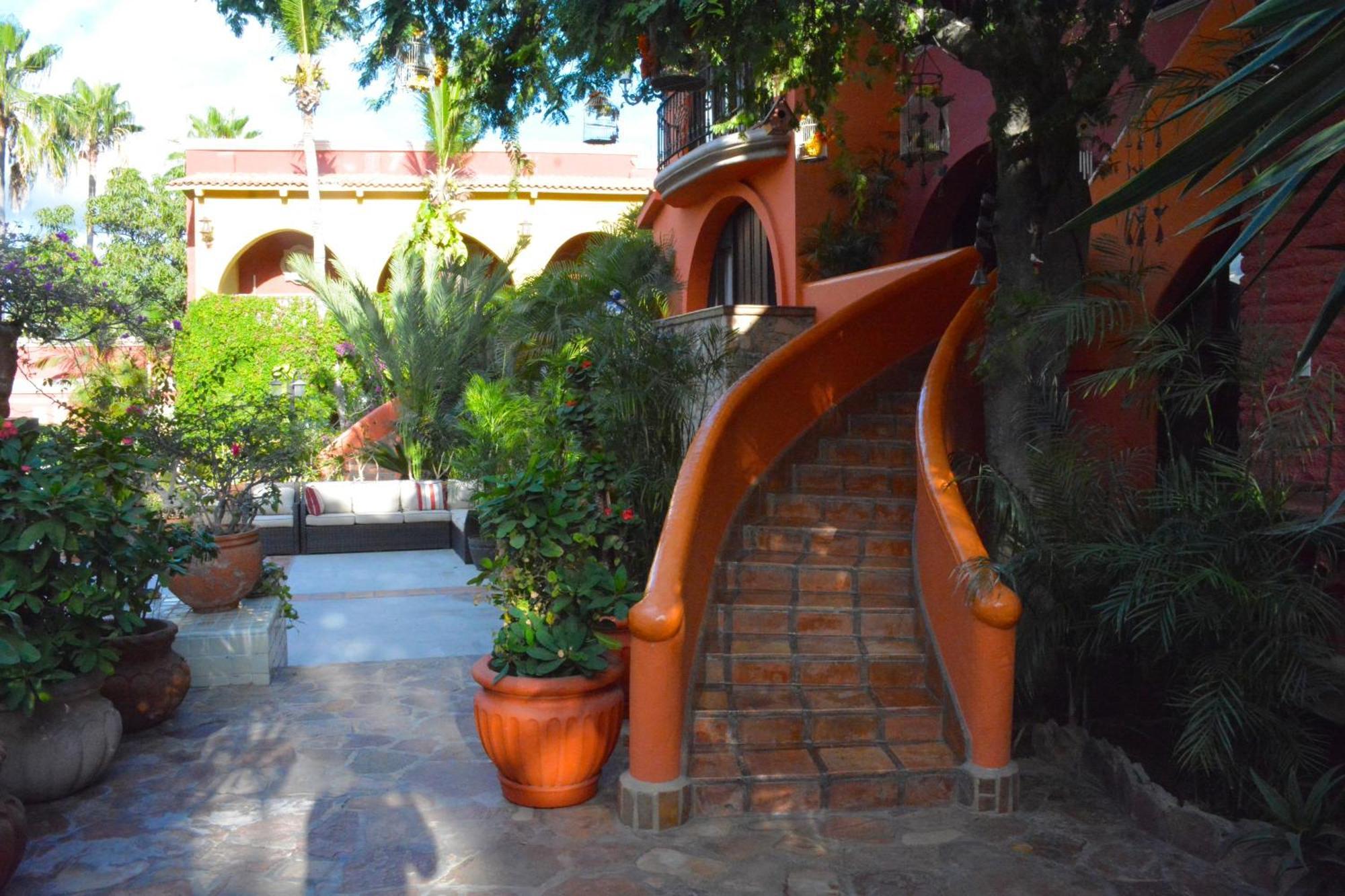 Collection O Casa Bella Hotel Boutique, Кабо-Сан-Лукас Экстерьер фото